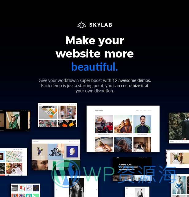 Skylab v3.6-响应式创意摄影作品集WordPress主题插图1-WordPress资源海