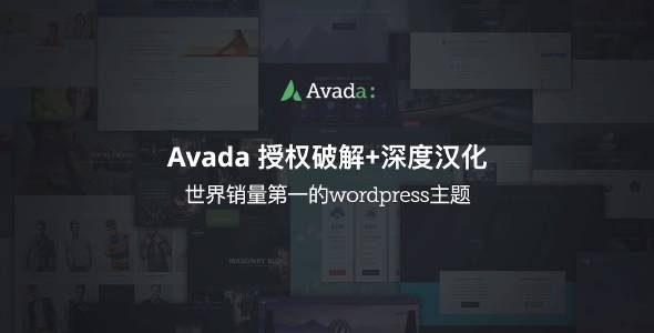 【首发】Avada-国外销量第一主题/汉化破解版[更至v7.11.5]