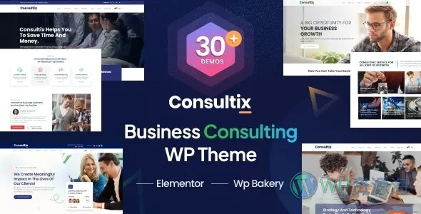 Consultix v4.0.1-商业投资服务咨询WordPress主题插图-WP资源海