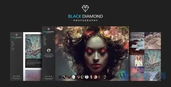 Diamond v2.4.7-专业高端大气的精品摄影主题插图-WP资源海 Diamond v2.4.7-专业高端大气的精品摄影主题插图-WP资源海