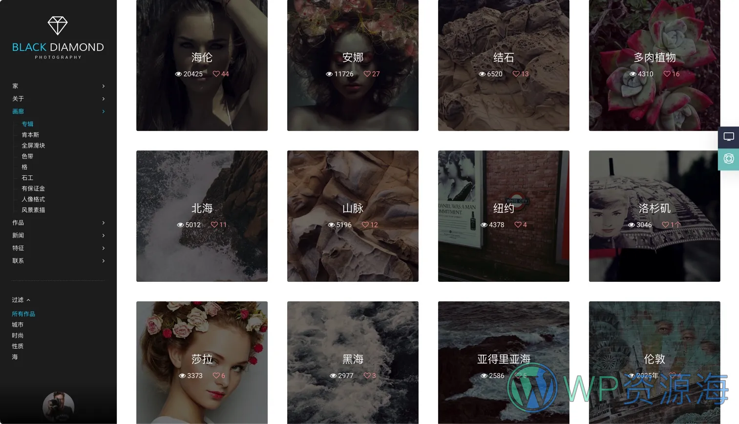 Diamond v2.4.7-专业高端大气的精品摄影主题插图2-WP资源海 Diamond v2.4.7-专业高端大气的精品摄影主题插图2-WP资源海