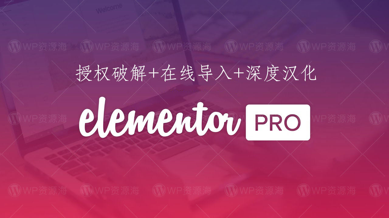 Elementor Pro-独家破解优化/全模版库/中文汉化插件[更至v3.22.0]