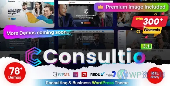 Consultio-商务金融财会咨询WordPress主题插图-WP资源海 Consultio-商务金融财会咨询WordPress主题插图-WP资源海