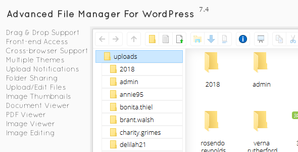 filemanager v7.5.4-WordPress高级文件管理器插件