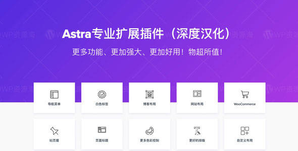 【正版】Astra Pro-Astra主题高级扩展插件[更至v4.7.2]