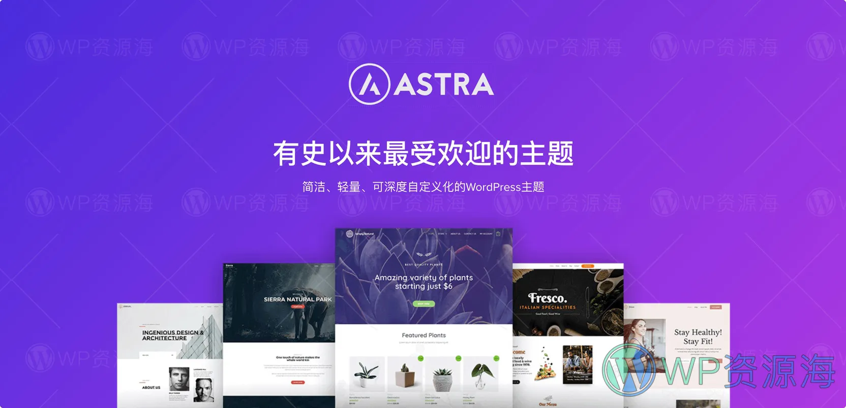 Astra–最受欢迎的WordPress免费主题插图-WP资源海 Astra–最受欢迎的WordPress免费主题插图-WP资源海