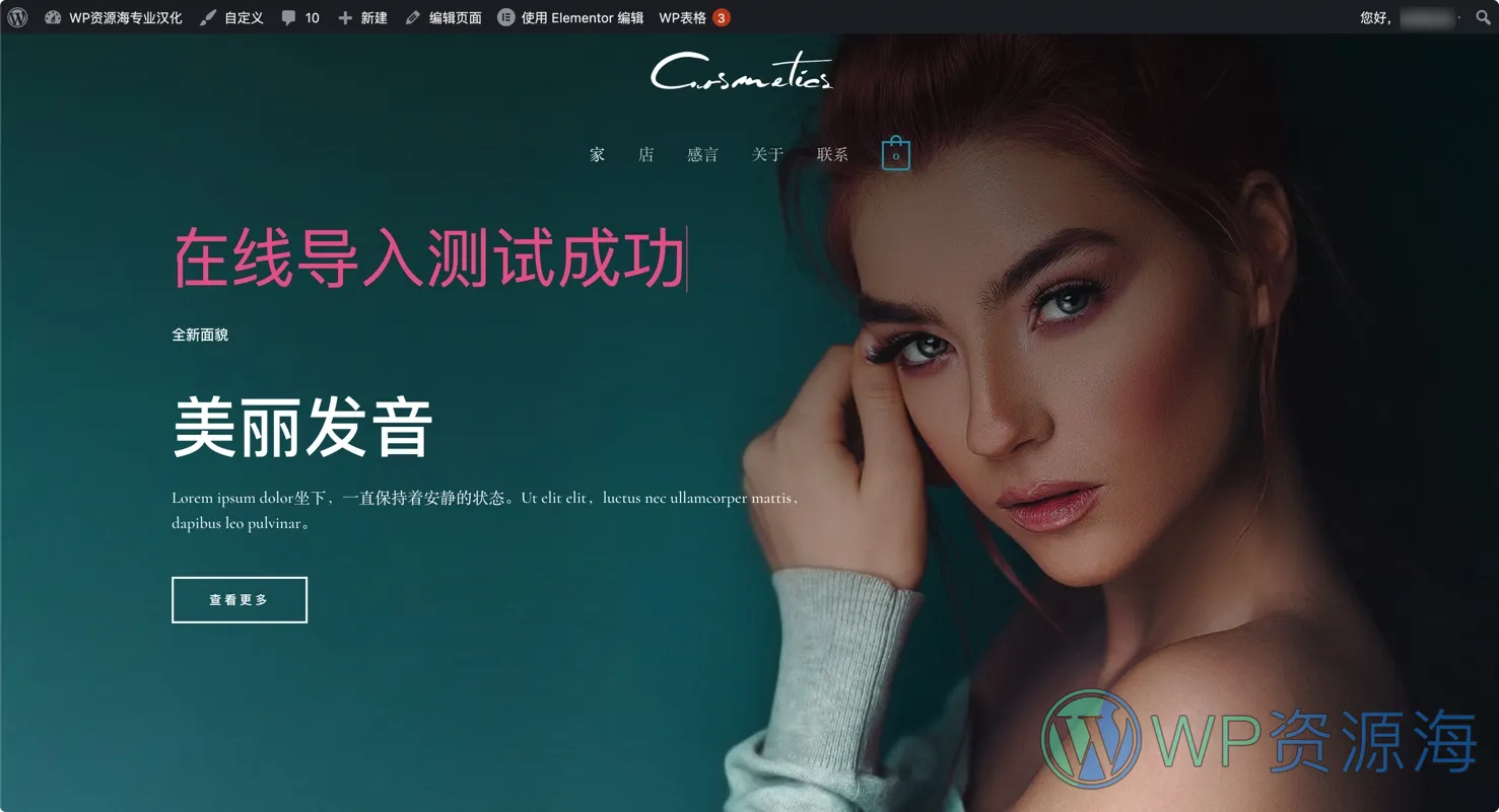 Astra Premium Starter Templates-极速建站模板库WordPress插件插图9-WP资源海 Astra Premium Starter Templates-极速建站模板库WordPress插件插图9-WP资源海