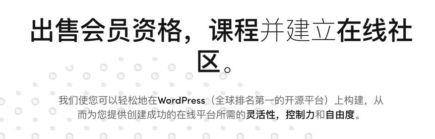 BuddyBoss platform 2.4.30 Pro 2.4.20[主题2.4.20]全套中文汉化破解版论坛插件下载插图3-WordPress资源海
