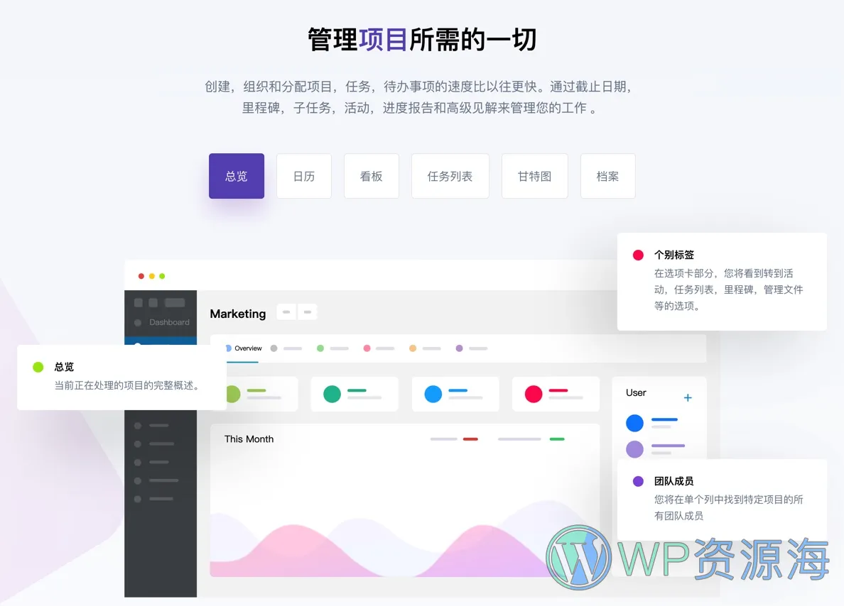 WP Project Manager Pro-团队协作项目开发管理插件插图4-WP资源海 WP Project Manager Pro-团队协作项目开发管理插件插图4-WP资源海