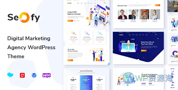 Seofy-SEO优化/网络营销WordPress主题插图-WP资源海