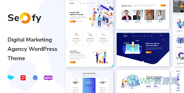 Seofy-SEO优化/网络营销WordPress主题[更至v1.6.8]插图-WordPress资源海