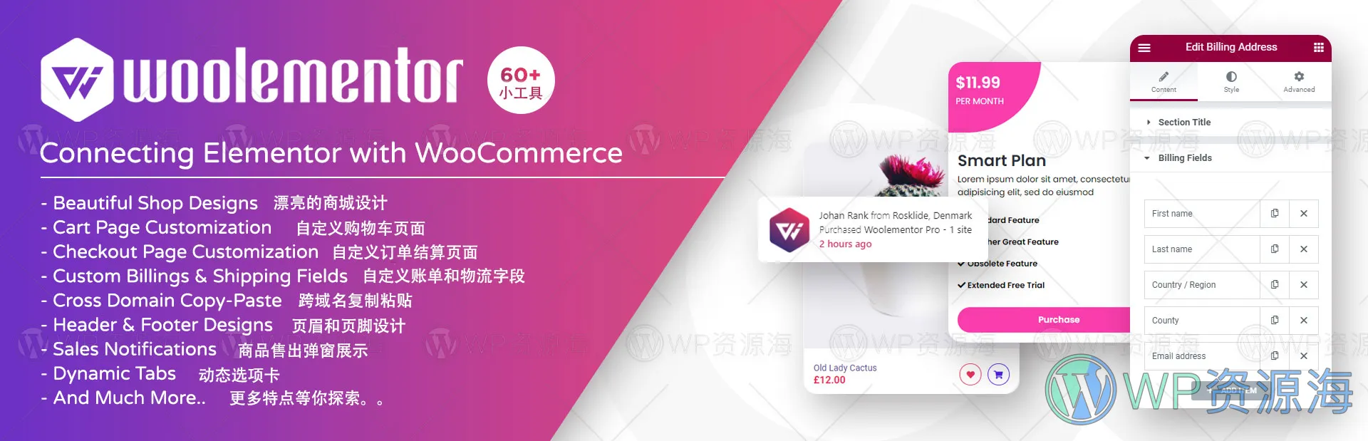CoDesigner Pro(原Woolementor Pro)商城高级功能扩展插件插图-WP资源海 CoDesigner Pro(原Woolementor Pro)商城高级功能扩展插件插图-WP资源海