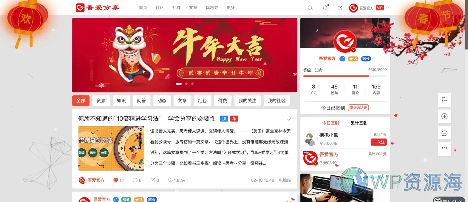 节日红灯笼-wordpress网站装饰美化插件插图-WP资源海 节日红灯笼-wordpress网站装饰美化插件插图-WP资源海