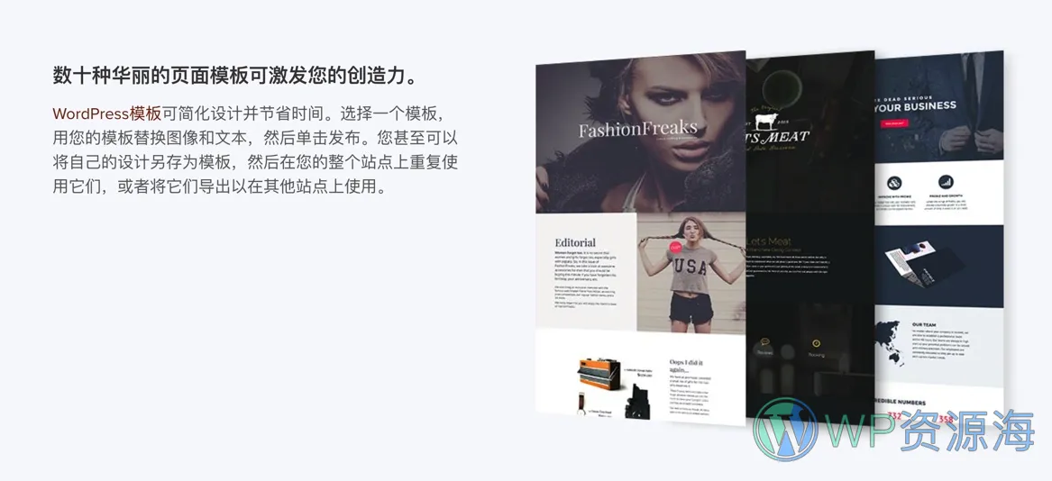 Beaver Builder Pro-海狸可视化编辑器WordPress插件插图1-WP资源海