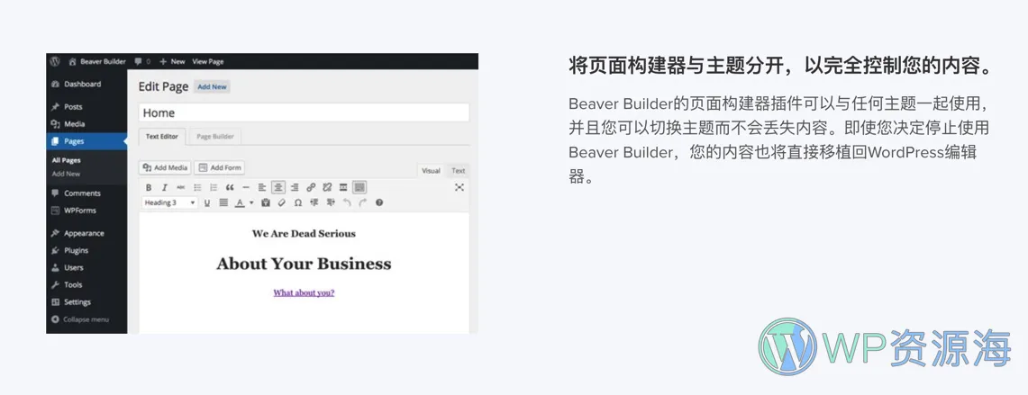 Beaver Builder Pro-海狸可视化编辑器WordPress插件插图2-WP资源海
