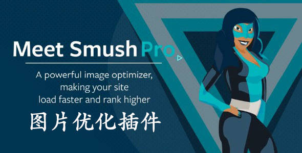 Smush Pro-图像照片压缩优化wordpress插件[更至v3.12.6]