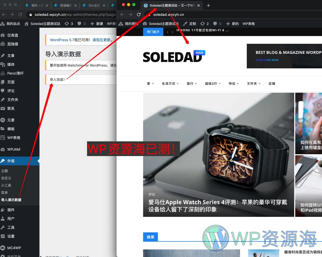 Soledad-多概念博客杂志AMP WordPress主题插图1-WP资源海 Soledad-多概念博客杂志AMP WordPress主题插图1-WP资源海
