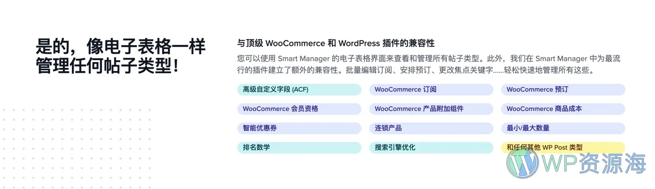 Smart Manager WooCommerce商城智能高效管理插件插图3-WP资源海 Smart Manager WooCommerce商城智能高效管理插件插图3-WP资源海