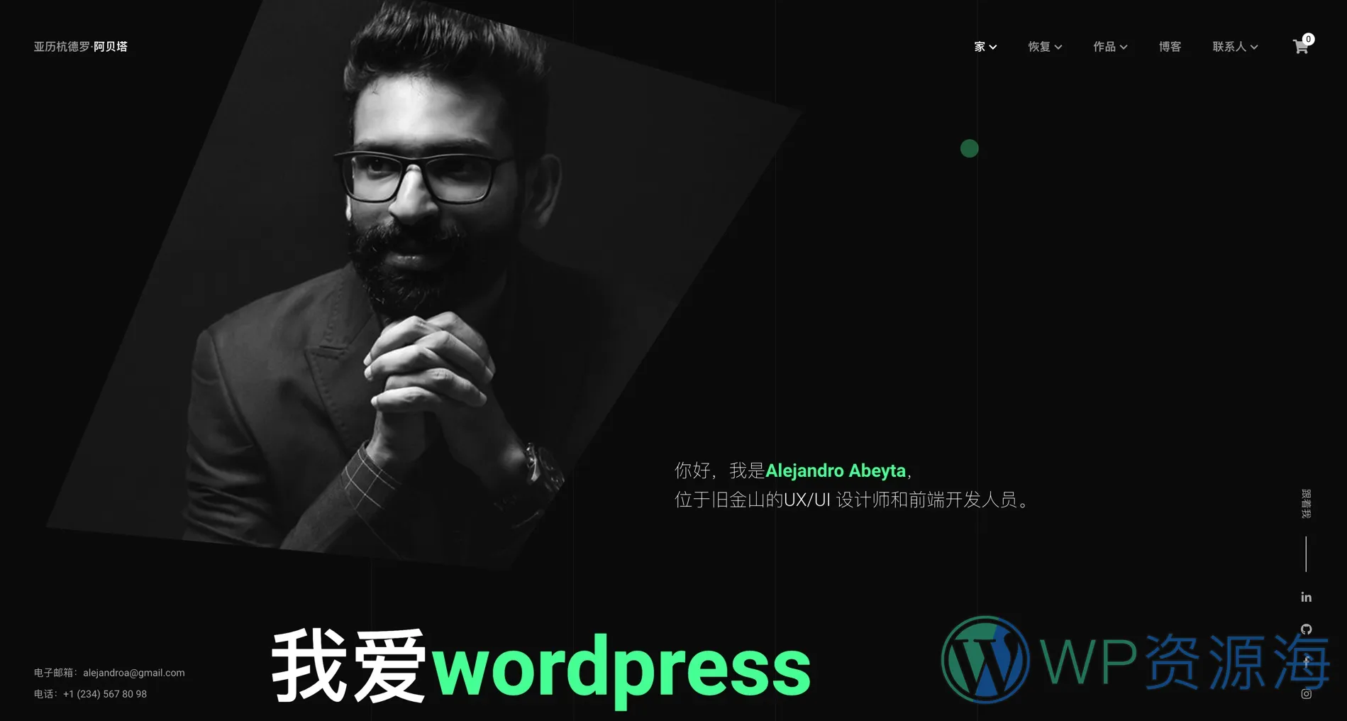 Cvio-黑色炫酷/个人简历/作品展示wordpress主题[更至v3.3.5]插图1-WP资源海