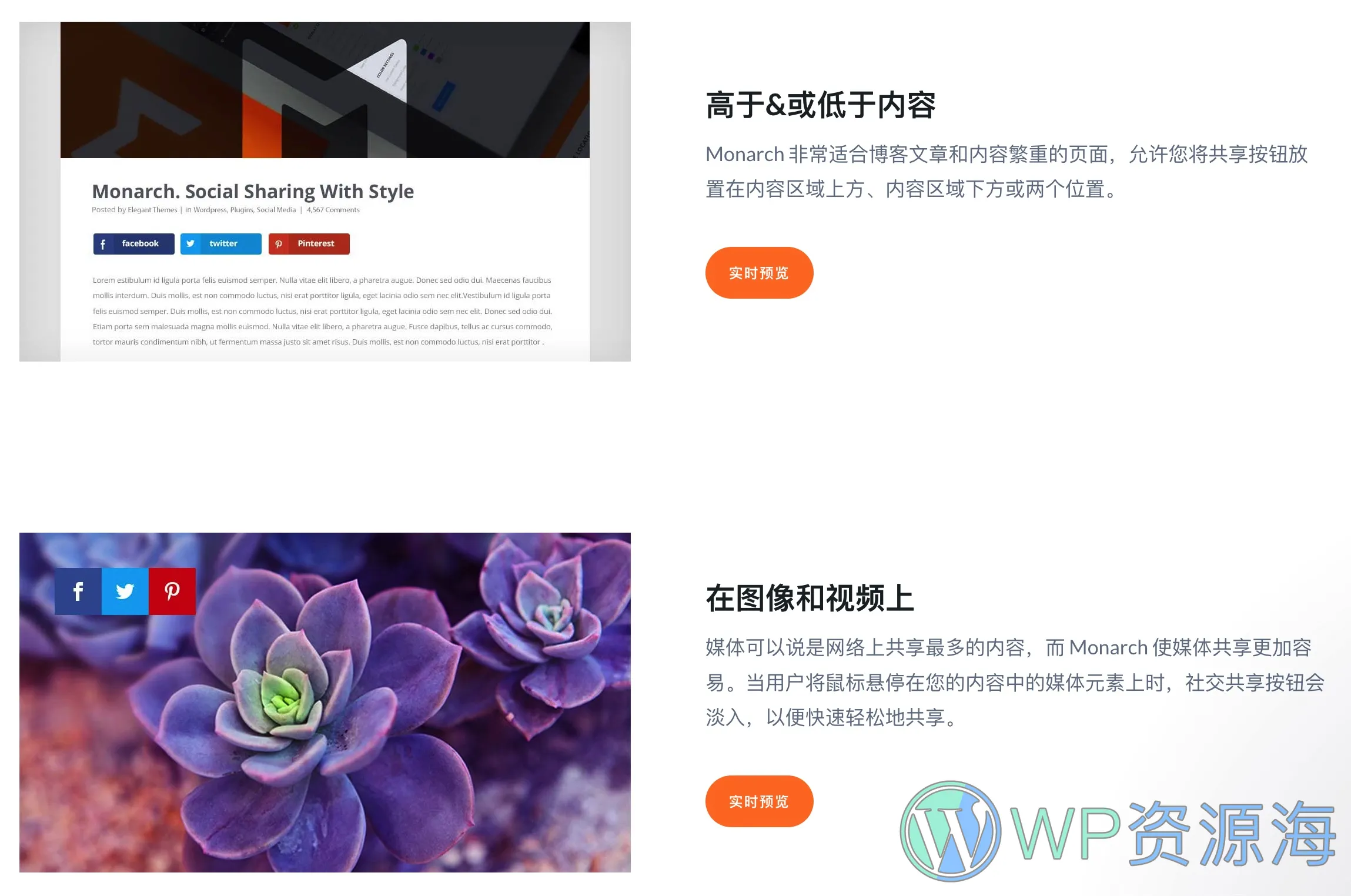 Monarch-WordPress最佳社交媒体分享插件[更至v1.4.14]插图4-WP资源海