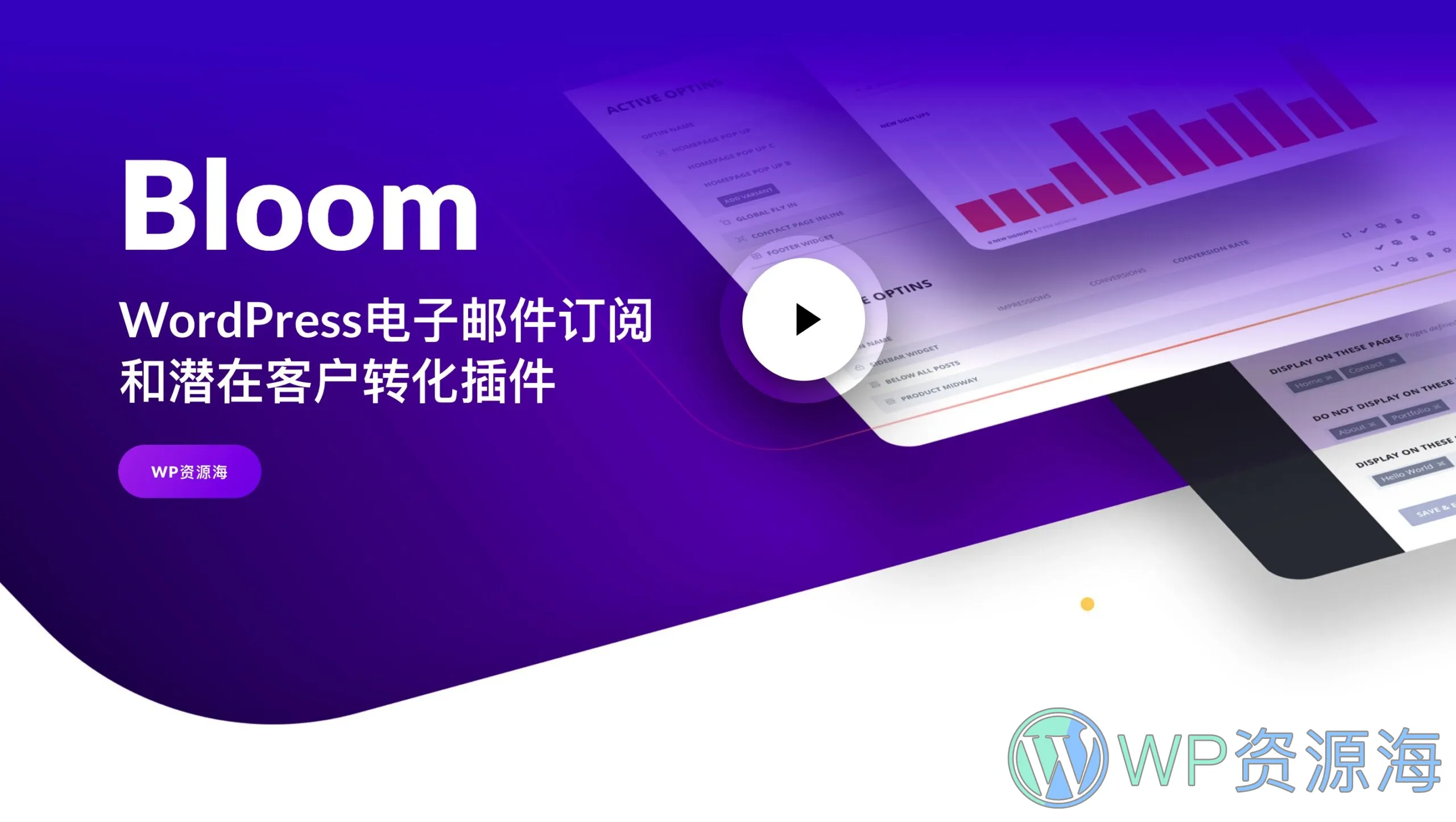 Bloom-电子邮件订阅/潜在客户转化插件[更至v1.3.12]插图-WP资源海