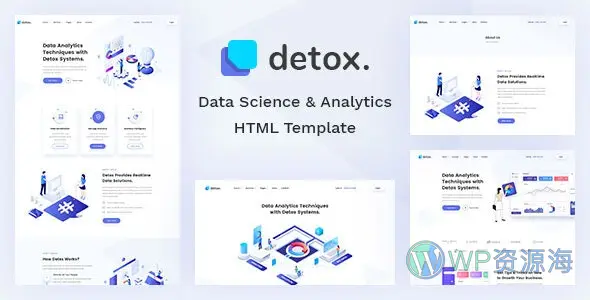 Detox-大数据科学统计与分析HTML网站模板插图-WordPress资源海