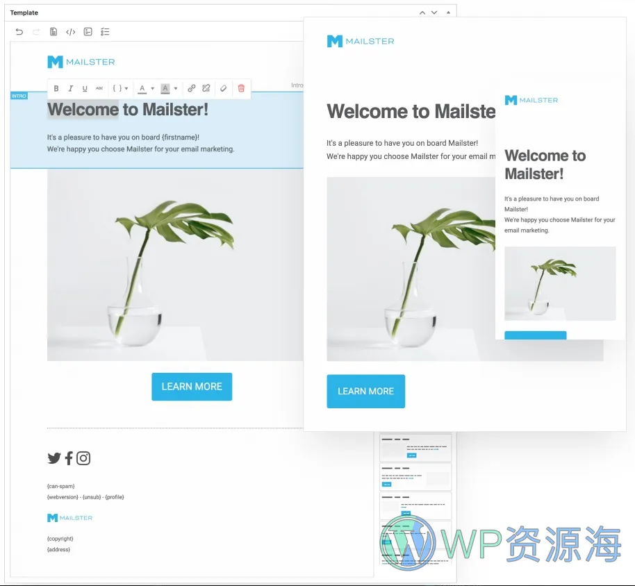 Mailster-强大的电子邮件管理/订阅/通知WordPress插件插图3-WP资源海