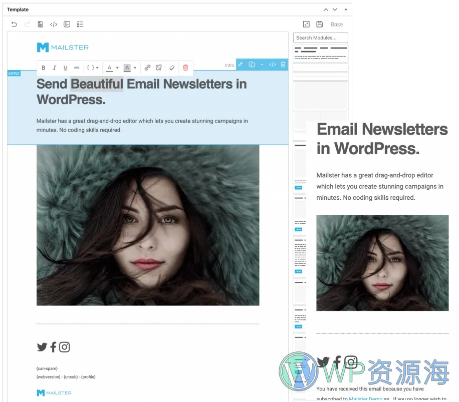 Mailster-强大的电子邮件管理/订阅/通知WordPress插件插图5-WP资源海