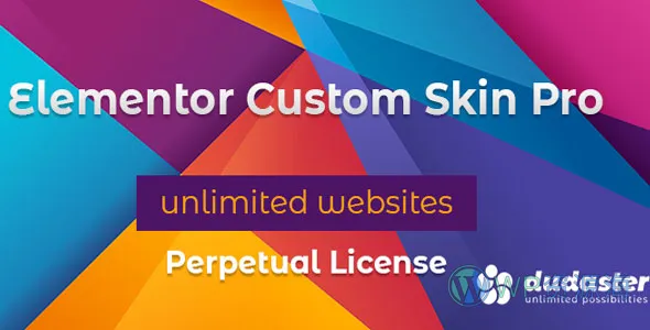 Elementor Custom Skin Pro-创建自定义皮肤插件插图-WP资源海