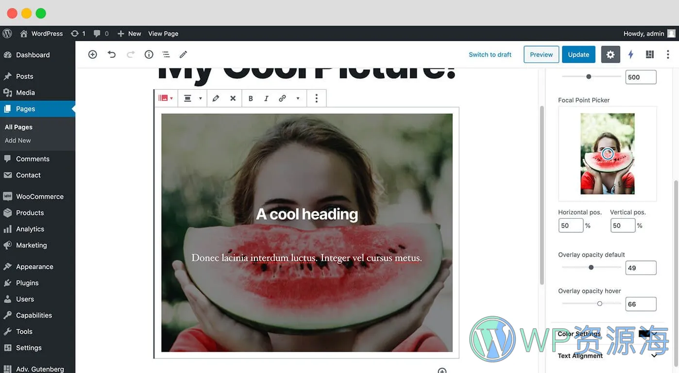 PublishPress Blocks Pro-古腾堡编辑器增强与扩展WordPress插件[更至v3.2.0]插图7-WP资源海