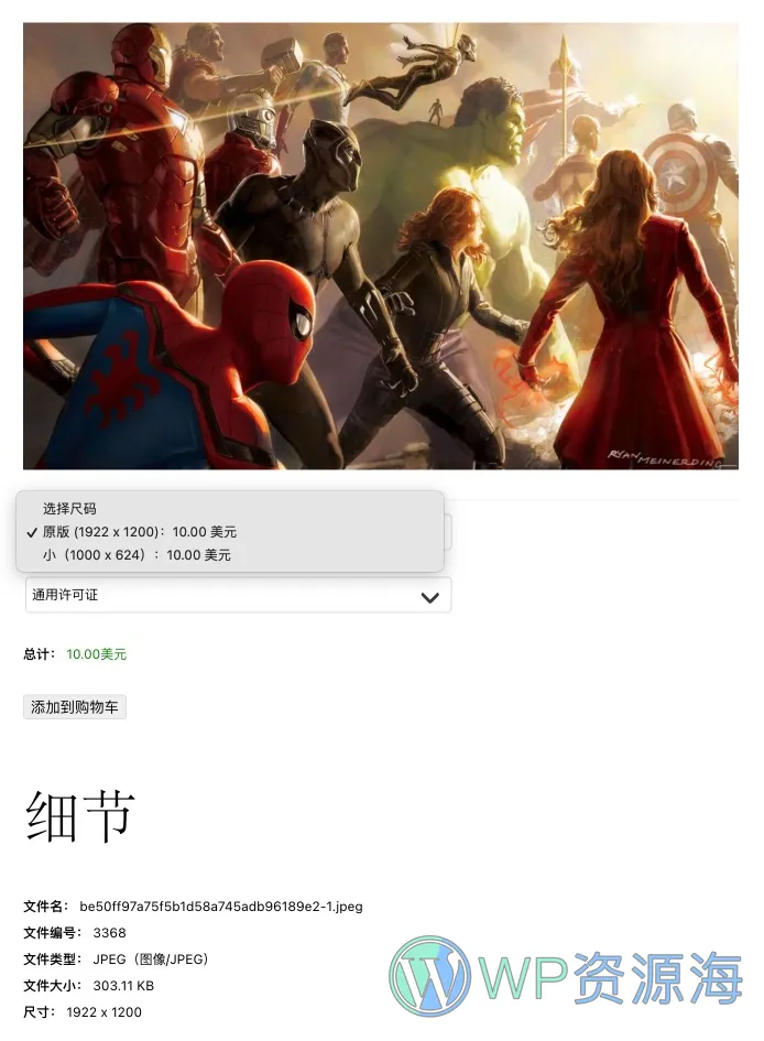 Sell Media-照片海报摄影作品在线销售买卖WordPress插件[更至v2.5.7.3]插图1-WP资源海