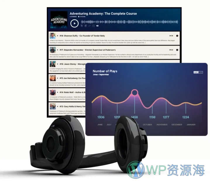 MP3 Audio Player Pro-音频/播客/音乐在线播放与出售WordPress插件插图10-WP资源海