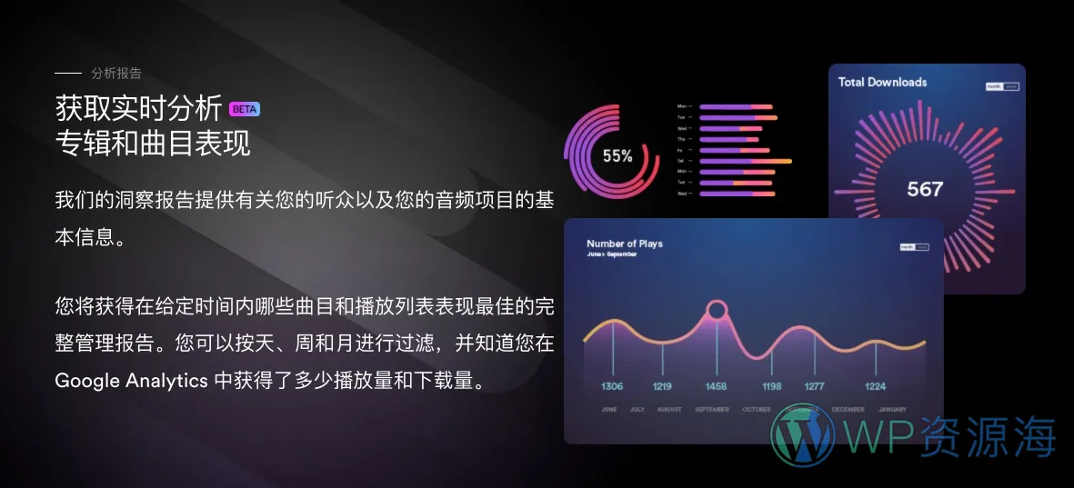 MP3 Audio Player Pro-音频/播客/音乐在线播放与出售WordPress插件插图15-WP资源海