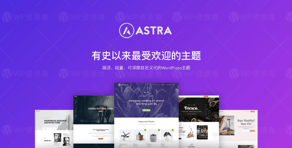 【正版】Astra Growth Bundle 全套正版key激活终身永久授权支持在线更新