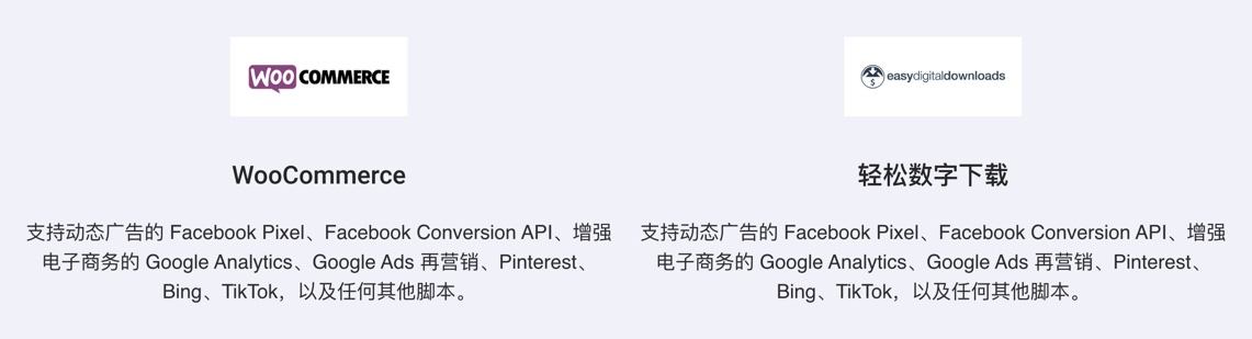 PixelYourSite Professional-网站用户跟踪/数据分析WordPress插件[更至v10.4.4]图片3