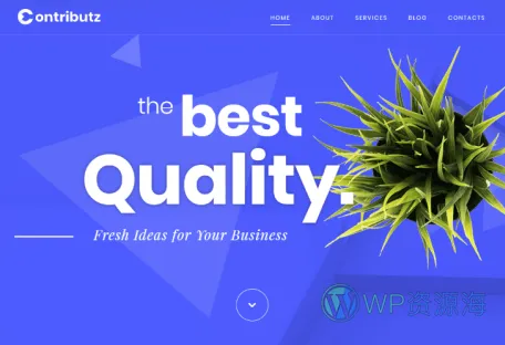 Crocoblock Wizard-整站模板导入/快速建站WordPress插件[更至v1.2.8]插图25-WP资源海