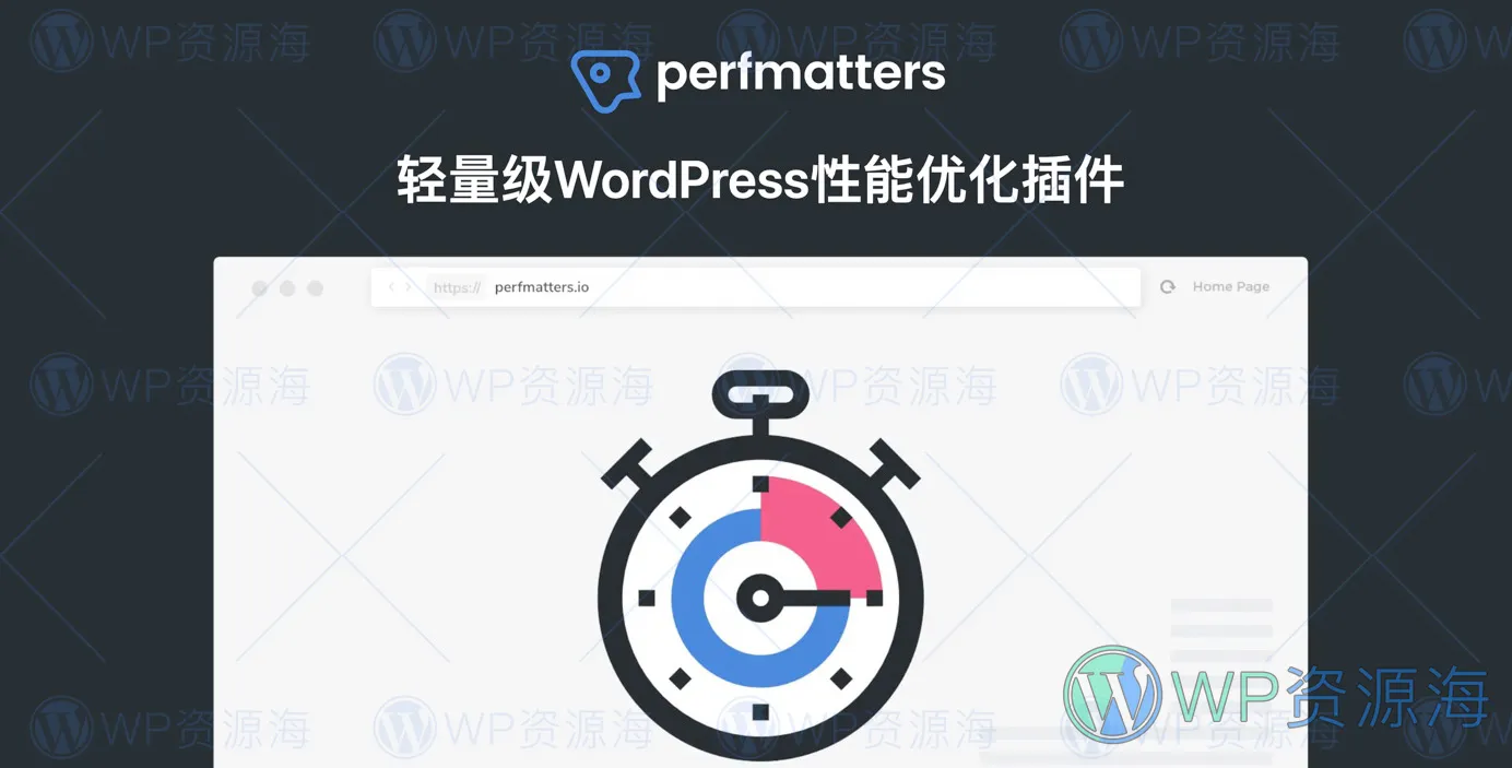 Perfmatters-网站性能优化与加速WordPress插件插图-WP资源海