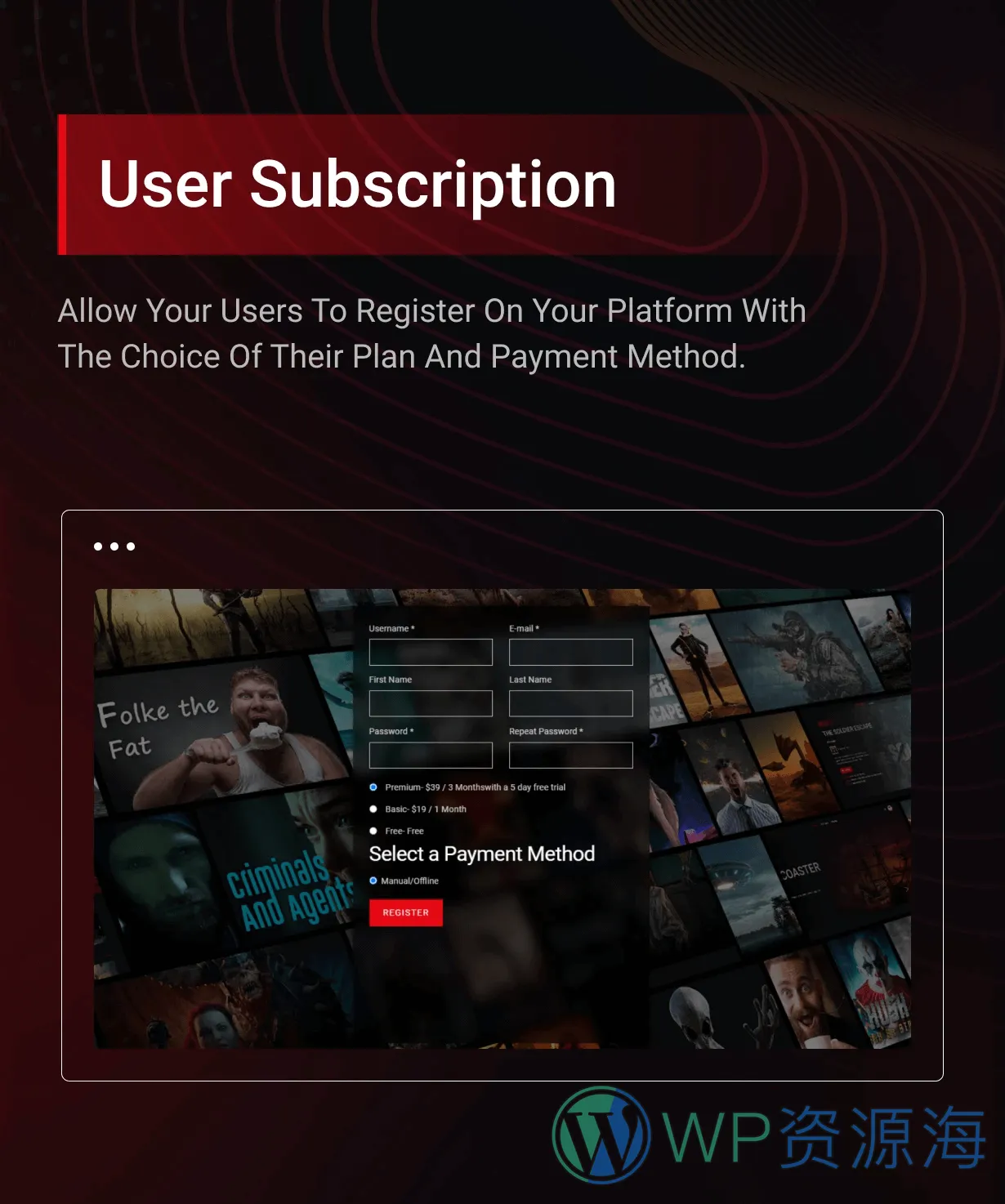 Streamit-电影视频网站模板WordPress炫酷主题插图5-WP资源海
