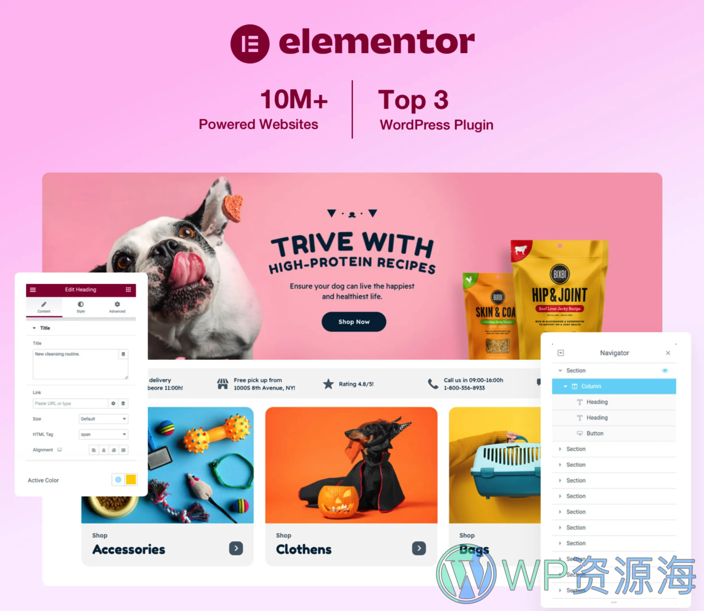 PetMania-宠物用品商城/宠物护理WordPress主题插图2-WP资源海