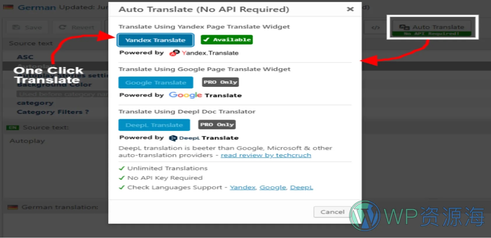 Automatic Translate Addon For Loco Translate Pro-WP主题插件免费自动化翻译插件插图5-WP资源海
