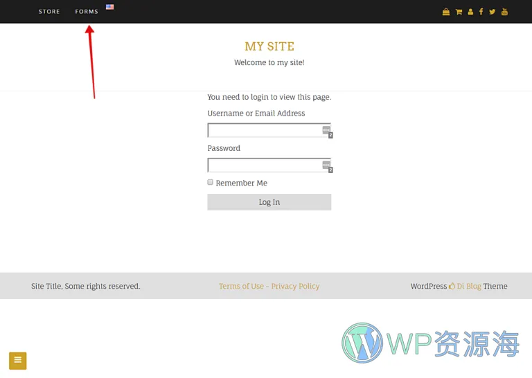 WP Frontend Admin Premium-前端用户中心管理插件插图4-WP资源海