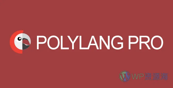 Polylang Pro 最受欢迎的多语言管理WordPress插件插图-WordPress资源海