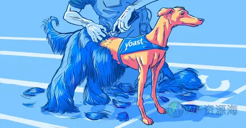 Yoast Video SEO 视频内容SEO优化WordPress插件插图2-WP资源海