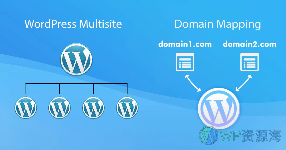 Domain Mapping System Pro v1.9.1 域名映射管理解析绑定WordPress插件插图-WordPress资源海