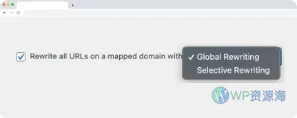 Domain Mapping System Pro v1.9.1 域名映射管理解析绑定WordPress插件插图4-WP资源海