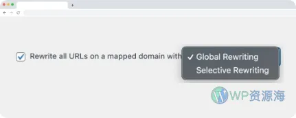 Domain Mapping System Pro v1.9.1 域名映射管理解析绑定WordPress插件插图4-WordPress资源海