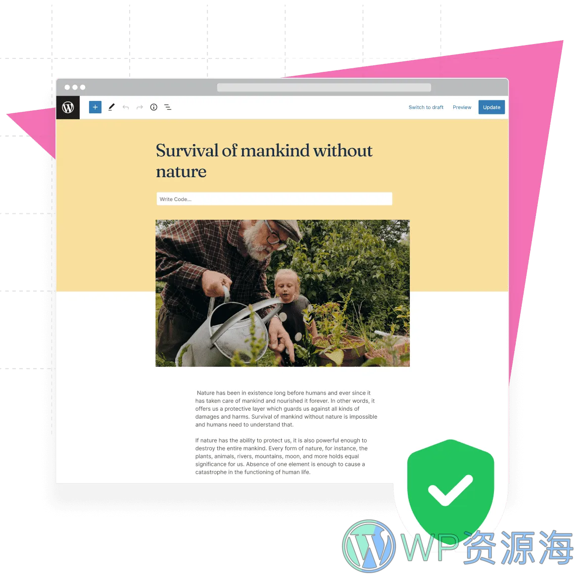 WPCode Pro-代码片段/二次开发WordPress个性化定制插件插图8-WP资源海