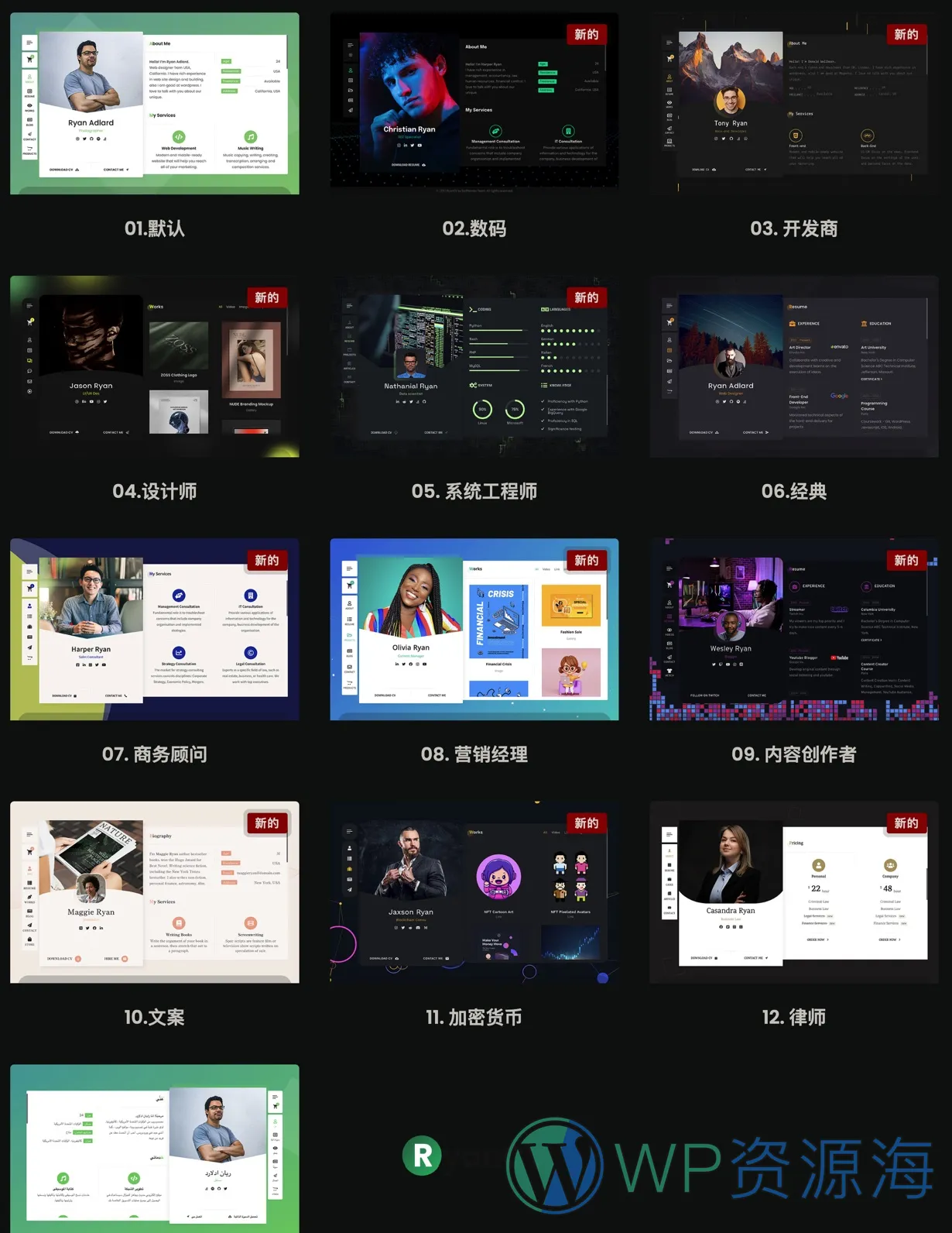 RyanCV-个人简历/个人介绍主页WordPress主题插图1-WP资源海