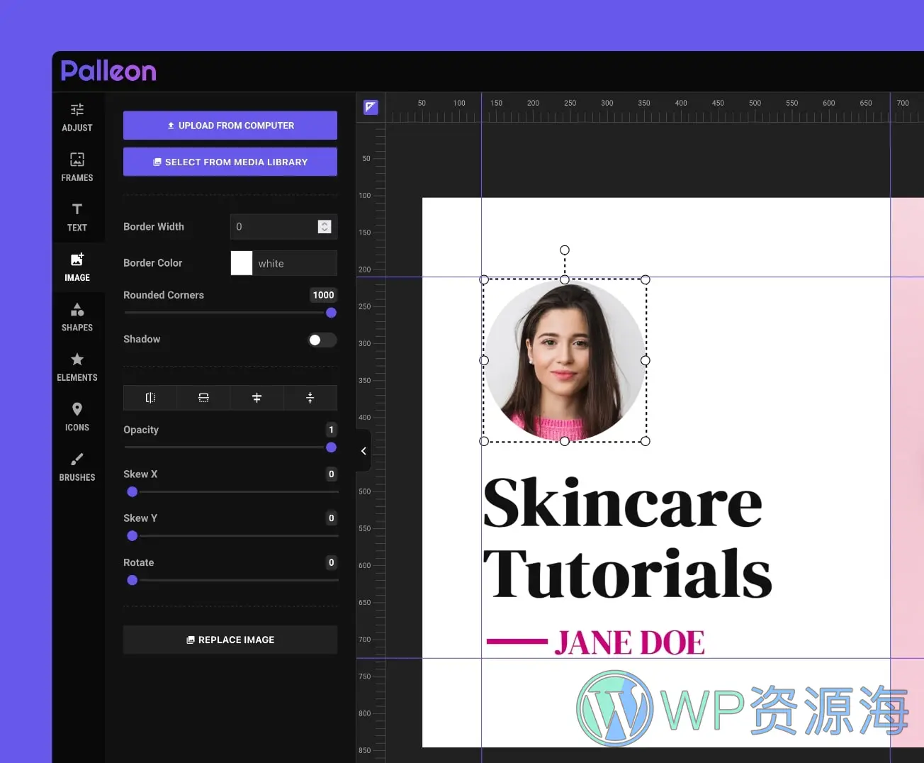 Palleon-图像照片编辑修改WordPress插件[更至v3.8.3]插图1-WP资源海