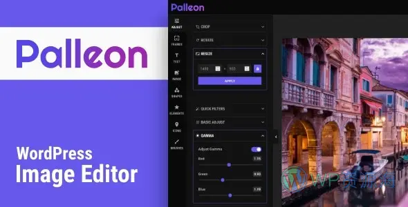 Palleon v3.7.1 图像照片编辑修改WordPress插件插图-WordPress资源海